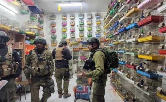 צפו: צה"ל תפס עשרות ציפורים נדירות בחברון