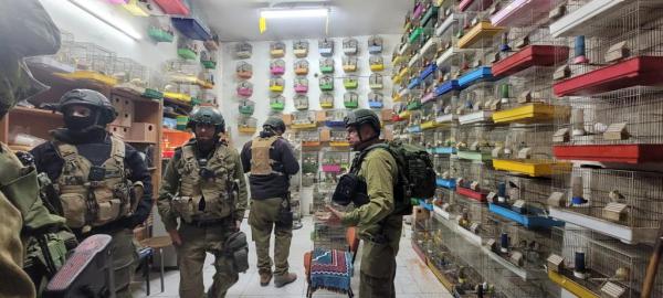 צפו: צה"ל תפס עשרות ציפורים נדירות בחברון