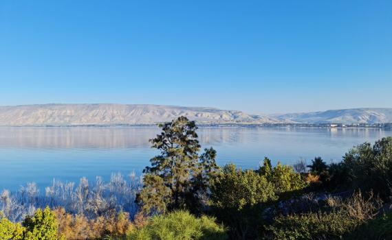 מאז 1964 | מפלס הכנרת בנתון מדאיג