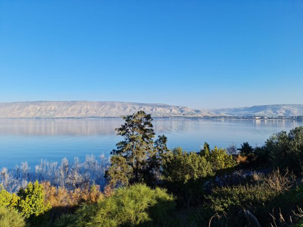 אחרי שבוע יבש: מפלס הכנרת בנתון מפתיע