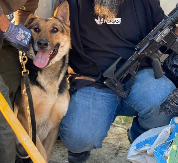 צפו: אמל"ח רב נתפס בעזרת הכלבה המשטרתית