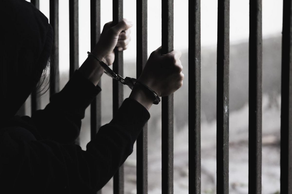 "חנינה" הוא ספר הביכורים של מאיה וקסלר, והוא מצוין