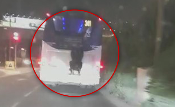 אתגר חדש? צעיר נתלה על אוטובוס בירושלים | תיעוד