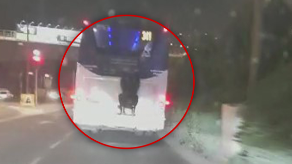 אתגר חדש? צעיר נתלה על אוטובוס בירושלים | תיעוד