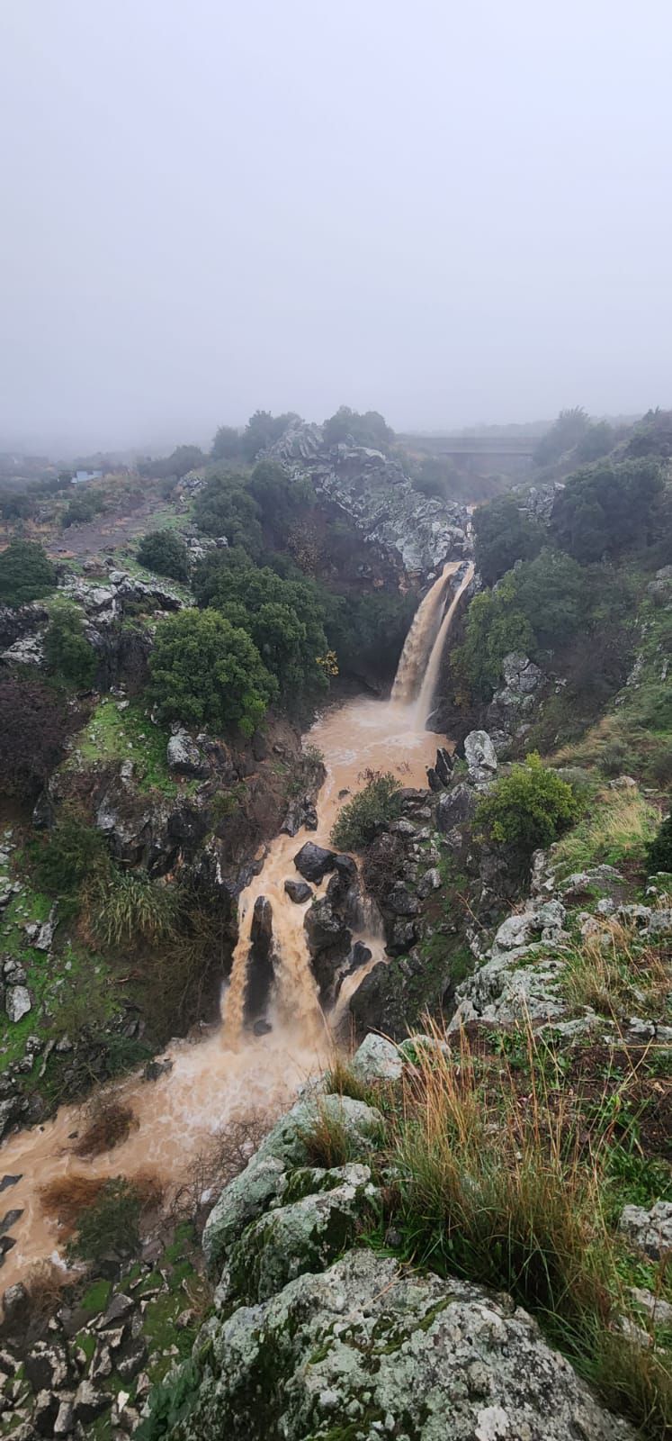 לראשונה השנה: נחל סער ברמת הגולן החל לזרום. צפו