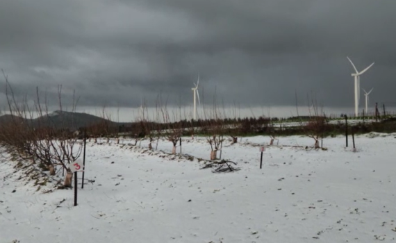 לראשונה השנה: שלג ירד מחוץ לחרמון. צפו בתיעוד