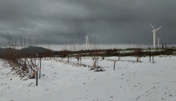 לראשונה השנה: שלג ירד מחוץ לחרמון. צפו בתיעוד