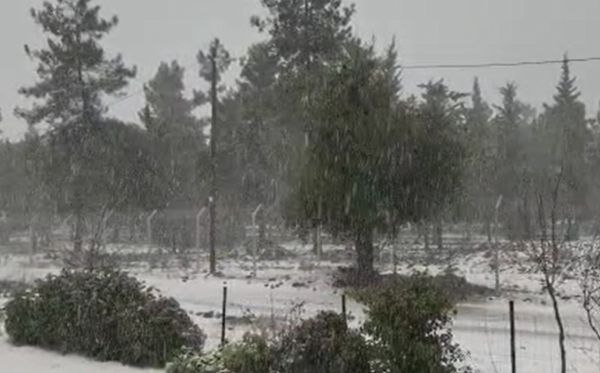 שלג כבד נערם:אלו היישובים בהם אין היום לימודים