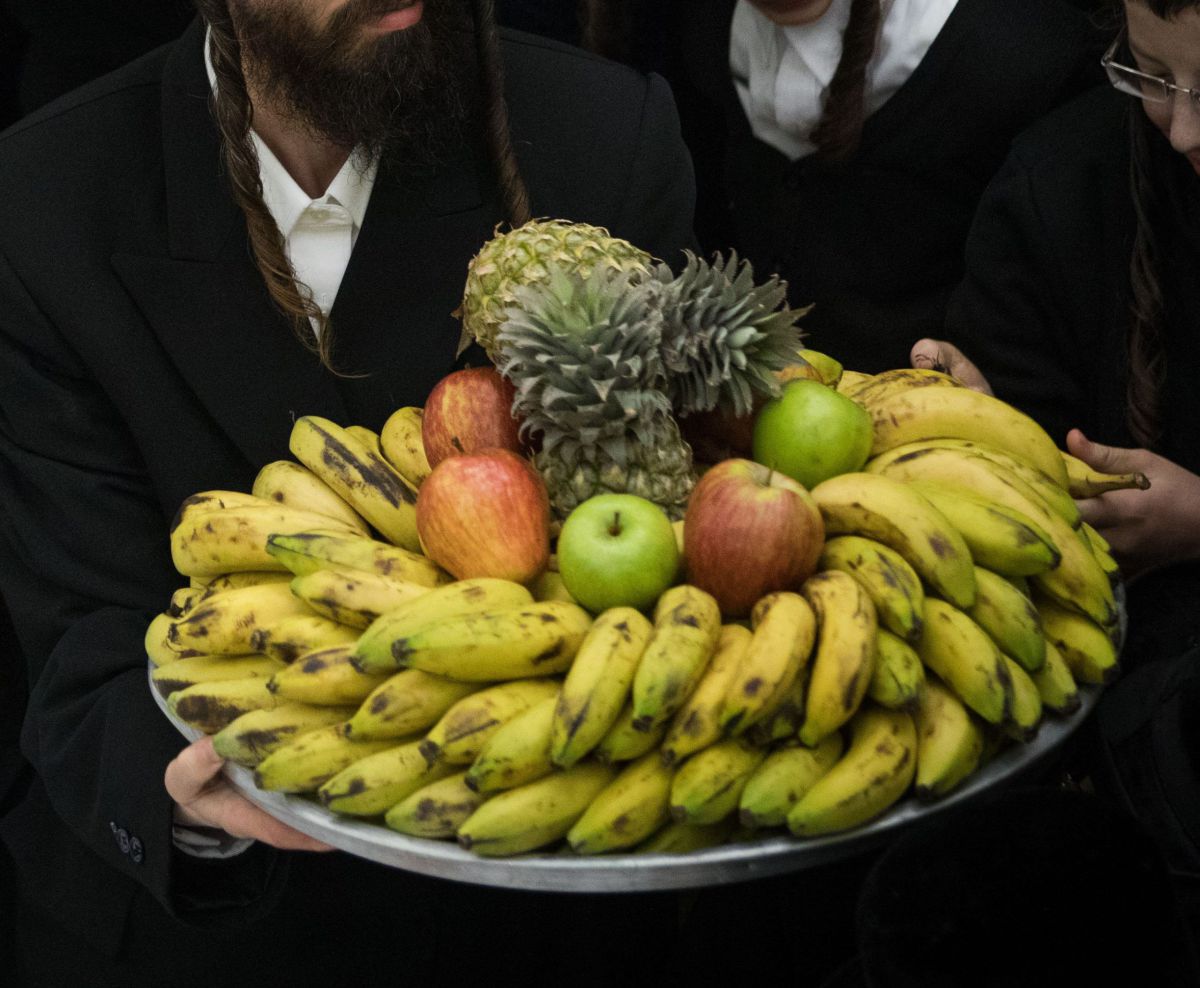 סוד הקסם של ט"ו בשבט