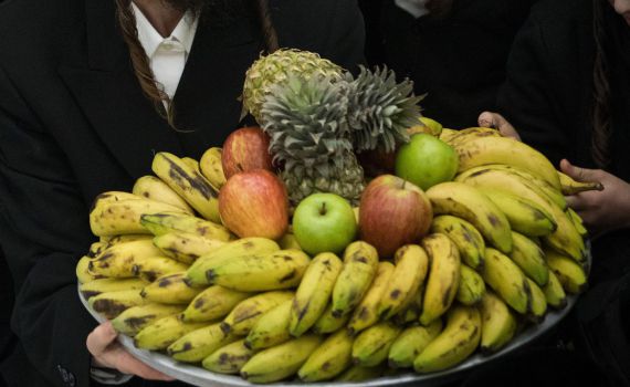 סוד הקסם של ט"ו בשבט