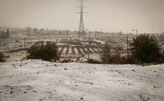 ברברה מגיעה לשיא: איפה לא יתקיימו מחר לימודים?