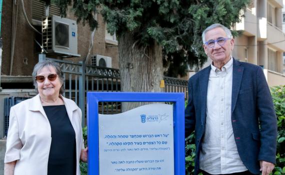 "מקהלה עליזה": היכן נמצא הברוש המפורסם?