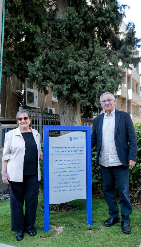 "מקהלה עליזה": היכן נמצא הברוש המפורסם?