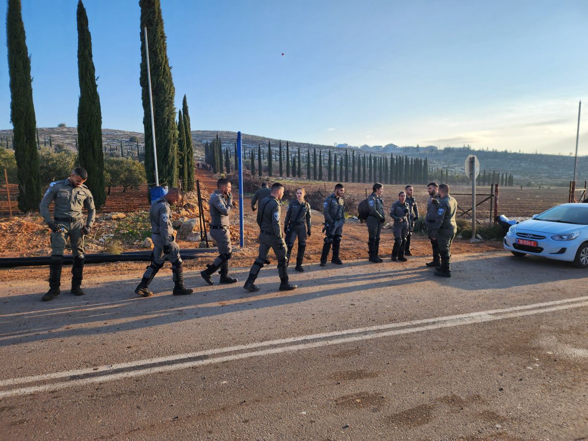 כוחות מפנים כרם בשילה, עשרות עצורים במקום