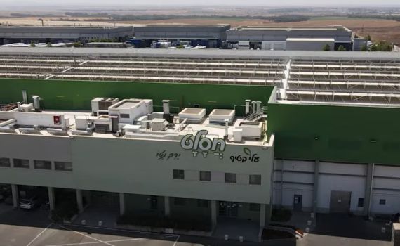 מהמפעל לצלחת: הסיפור של "ירקות הפרימיום" • צפו