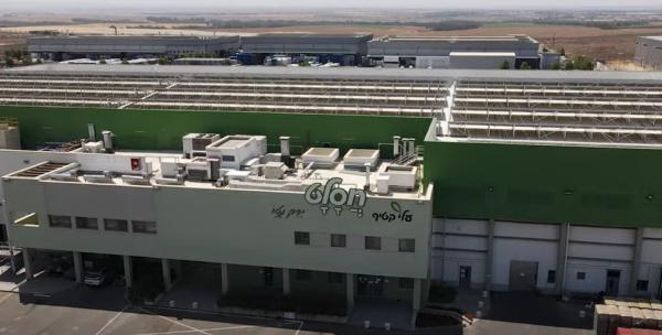 מהמפעל לצלחת: הסיפור של "ירקות הפרימיום" • צפו