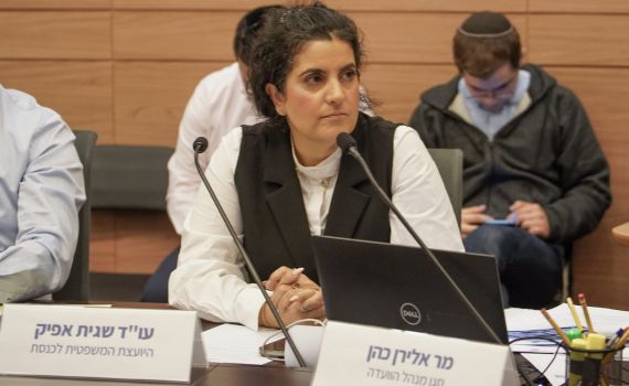 יועמ״שית הכנסת מגיבה: ״הממשלה יכולה להתנהל כרגיל״