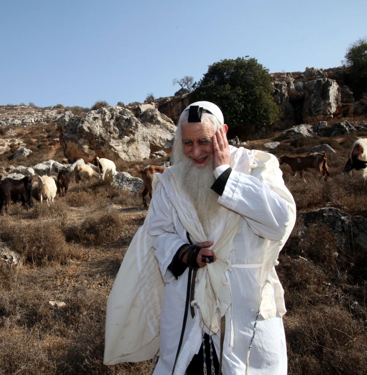 עשור לרב פרומן: לחבר בין ניגודים במחיאת כפיים