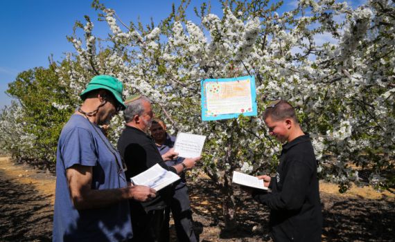 ברכת האילנות: נוסח מלא עם כל הבקשות והתוספות