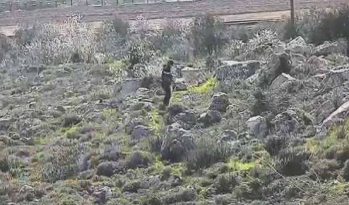 זה הזמן לפעול נגד הפלישה הפלסטינית