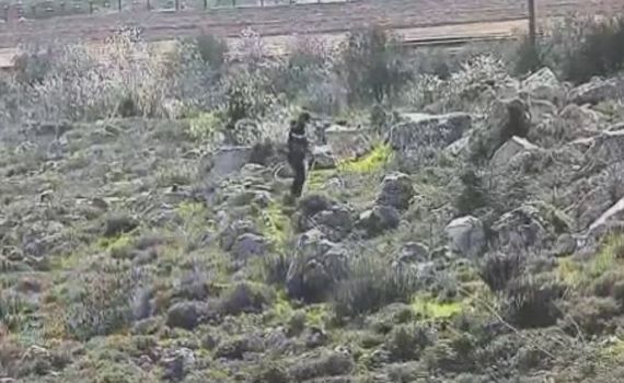 זה הזמן לפעול נגד הפלישה הפלסטינית