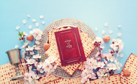 לקראת פסח: כל הספרים החדשים והמומלצים לילדים