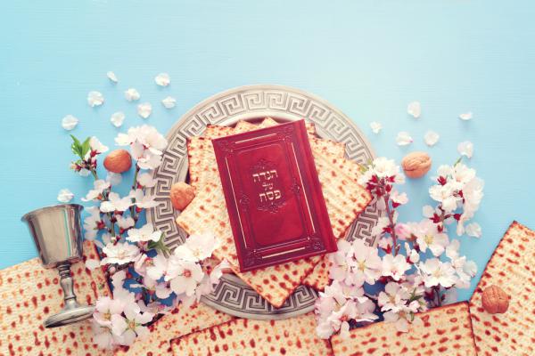 לקראת פסח: כל הספרים החדשים והמומלצים לילדים