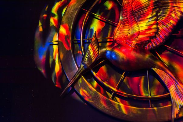 משחקי הרעב שמחים | 10 דברים שלא ידעתם על הסרט