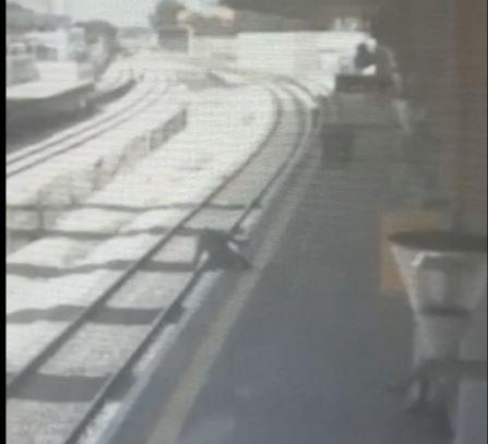 פקחי הרכבת חילצו נוסע שיכור שנפל למסילה. צפו