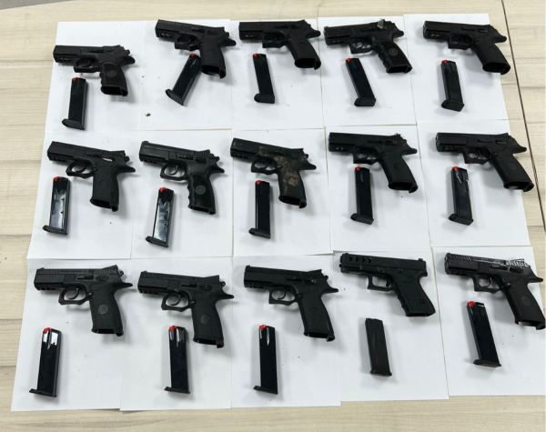 חבר הפרלמנט הירדני שהבריח נשק ישוחרר היום