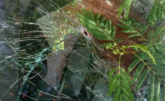 הנרצחות בפיגוע: 2 אחיות תושבות היישוב אפרת