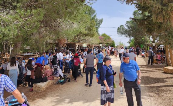 אלפי מטיילים הגיעו לבנימין: איפה נרשם שיא המבקרים?