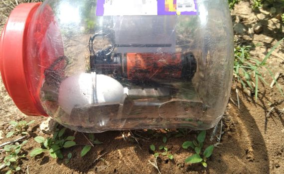 רימונים ומחסניות נמצאו בחצר בית ספר בלוד | צפו