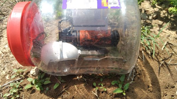 רימונים ומחסניות נמצאו בחצר בית ספר בלוד | צפו