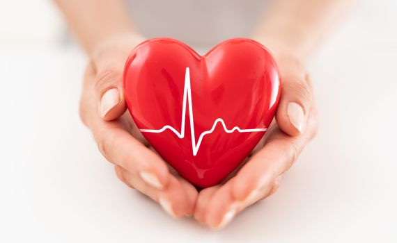 מחקר חדש מצא: צורת הלב מנבאת את העתיד הרפואי