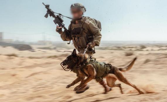 ביבשה באוויר ובים: גלריית תמונת לרגל 75 שנה לצה"ל