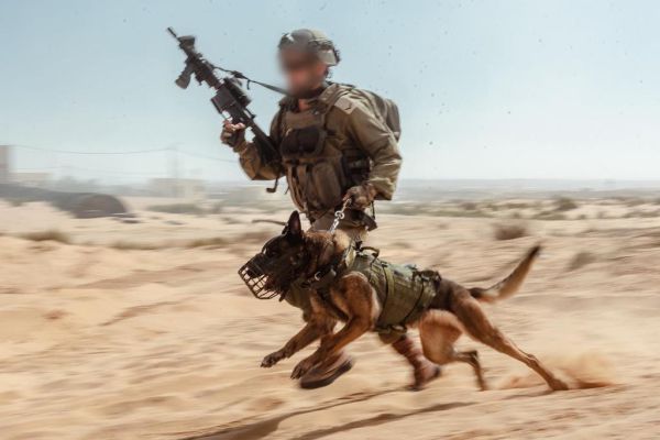 ביבשה באוויר ובים: גלריית תמונת לרגל 75 שנה לצה"ל