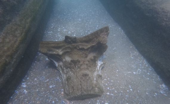 מטען שיש מתקופת המשנה התגלה בחוף בית ינאי