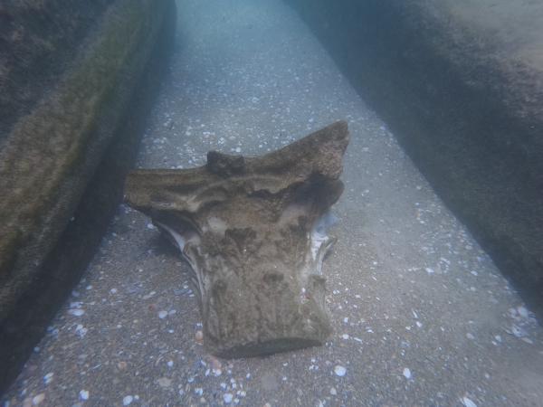 מטען שיש מתקופת המשנה התגלה בחוף בית ינאי