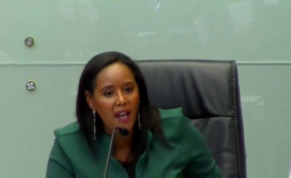 תמנו שטה נגד מיכאלי: 'הכל אצלך פוליטי'. צפו