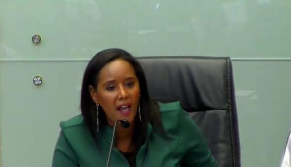 תמנו שטה נגד מיכאלי: 'הכל אצלך פוליטי'. צפו