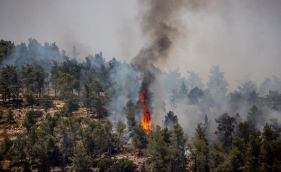 אזהרה לקראת מזג האוויר המתקרב: "איסור מוחלט"