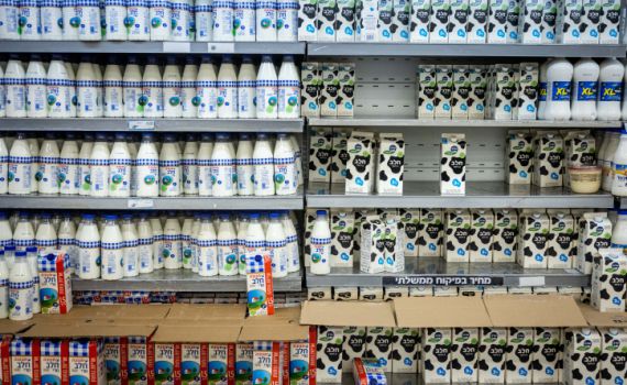 מהיום: אלו המחירים החדשים של מוצרי החלב