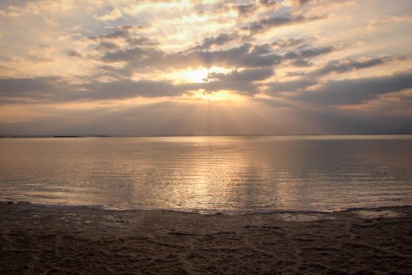 אסון בעין בוקק: אישה בת 65 טבעה למוות בים המלח