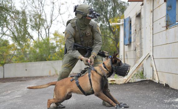 אחרי שנהרג בפעילות: כלב הימ"מ הובא למנוחות