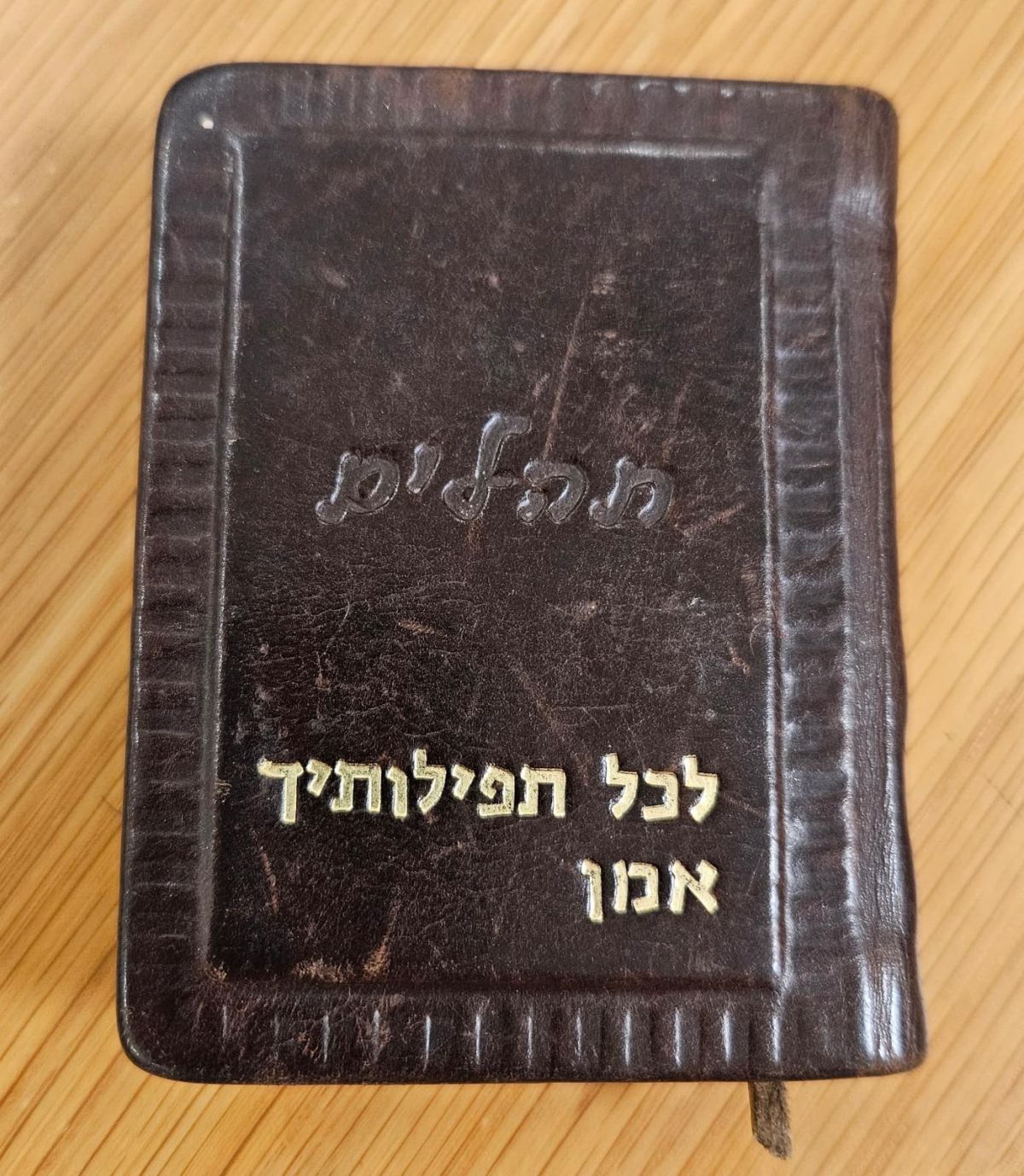 ספר התהילים מגידי גוב חזר לארץ