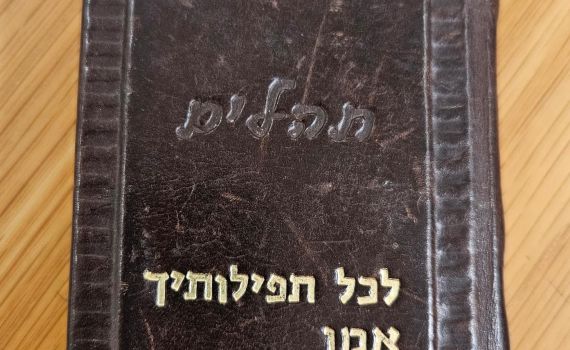 ספר התהילים מגידי גוב חזר לארץ