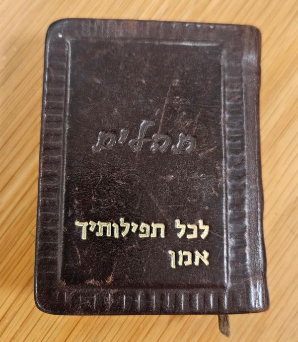 ספר התהילים מגידי גוב חזר לארץ