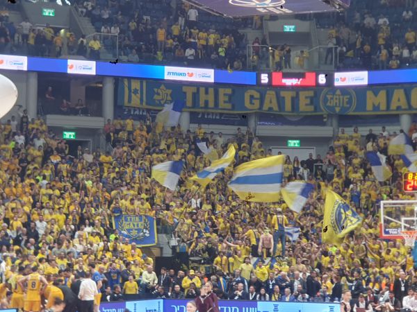 יעלו לפיינל פור? מכבי ת"א במשחק על עונה שלמה