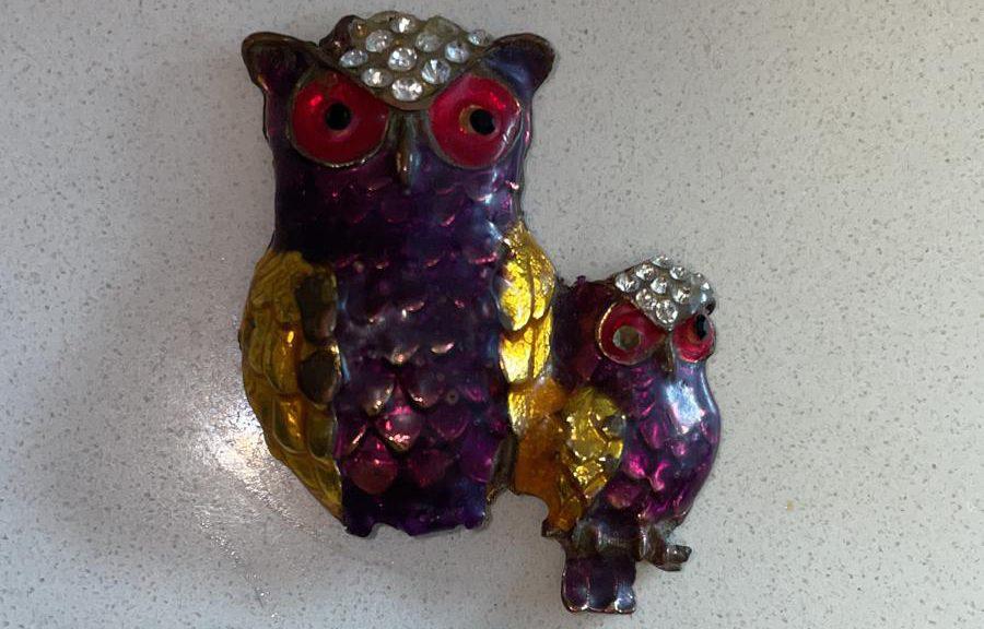 המרכז הרפואי מאיר: פעוט טופל לאחר שבלע מגנט